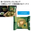 フォレシピ　ちいさな森のドーナツ　くま宇治抹茶の写真