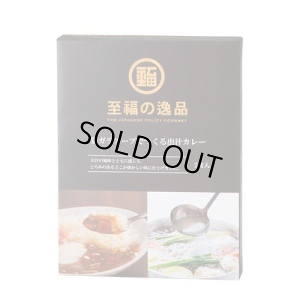 画像2: 至福の逸品　鶏ガラスープでつくる出汁カレー２食入 (2)