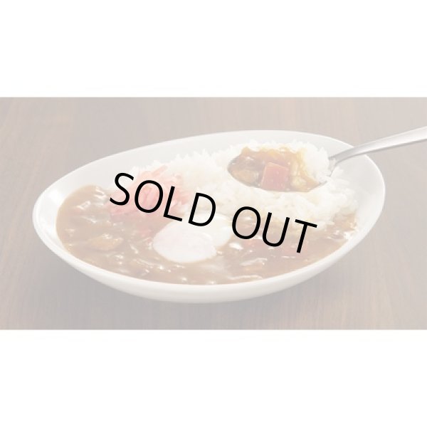 画像3: 至福の逸品　鶏ガラスープでつくる出汁カレー２食入 (3)