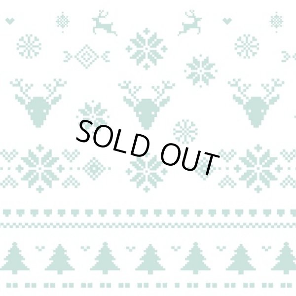 画像2: ２０２５クリスマスティシュ１２０Ｗ (2)