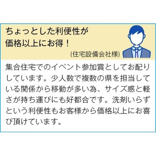 画像3: ピカ王ミニ (3)