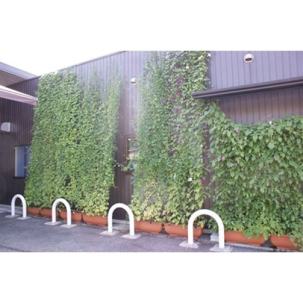 画像3: ハートのタネパック (3)