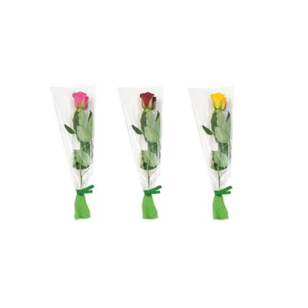 バラ　１本の写真