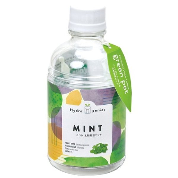 グリーンペット１個（ミント）の写真