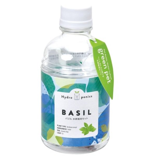 グリーンペット１個（バジル）の写真