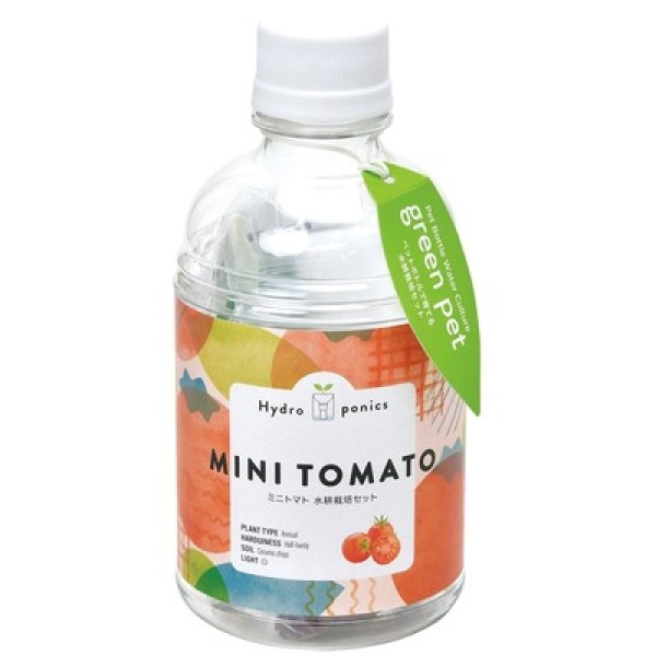 グリーンペット１個（ミニトマト）の写真