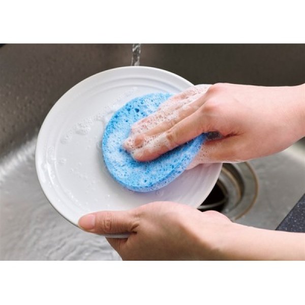 画像4: 地球スポンジ　＃ＣＯ２排出権付 (4)