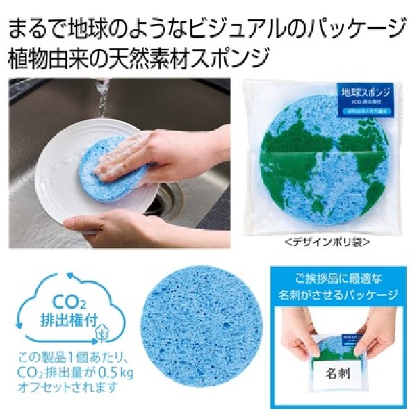 地球スポンジ　＃ＣＯ２排出権付の写真