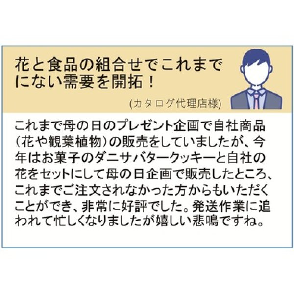 画像3: ダニサバタークッキー９０ｇ（１５枚） (3)