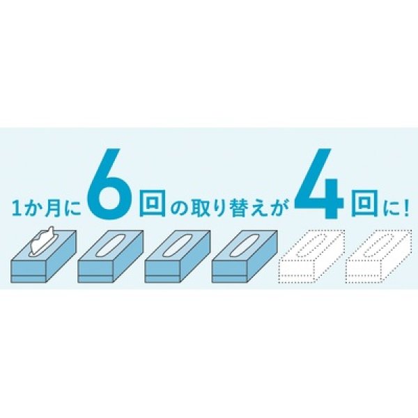 画像4: スコッティティシューフラワー２５０Ｗ３個組 (4)