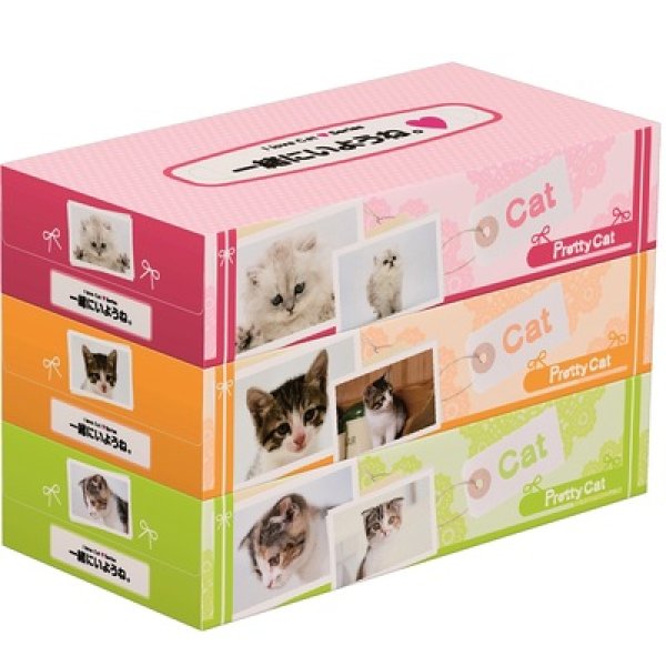 プリティキャットＢＯＸティッシュ１３０Ｗ３個組の写真