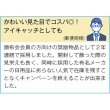 画像3: クマさんスポンジ１個 (3)