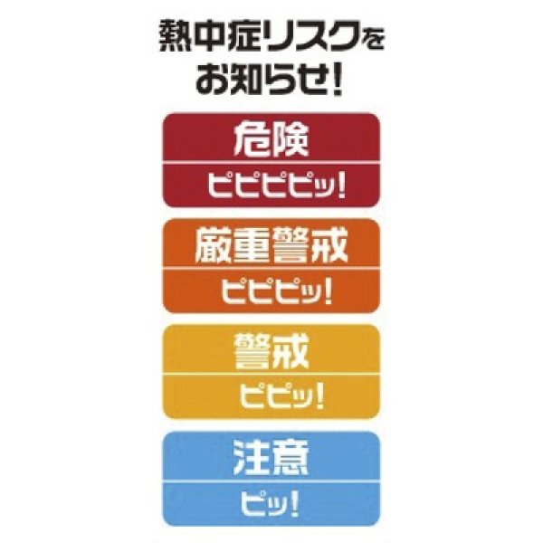 画像2: 黒球式熱中症指数計 (2)