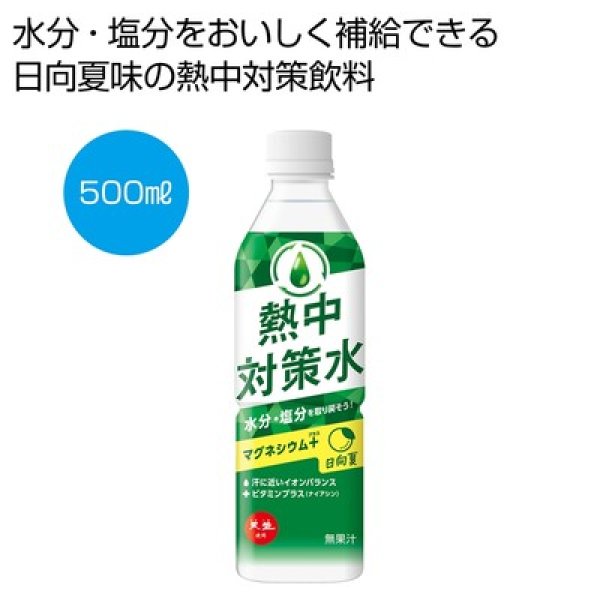 天塩使用　熱中対策水　日向夏５００ｍｌの写真
