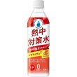 画像2: 天塩使用　熱中対策水　アセロラ５００ｍｌ (2)