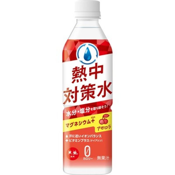 画像2: 天塩使用　熱中対策水　アセロラ５００ｍｌ (2)