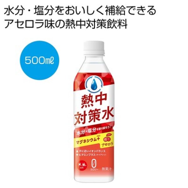 天塩使用　熱中対策水　アセロラ５００ｍｌの写真