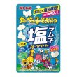 画像2: たべっ子どうぶつ　塩ラムネ３８ｇ (2)