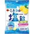 画像2: ブルボン　ミネラル塩飴 (2)