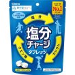 画像2: 塩分チャージタブレッツ　スポーツドリンク味８１ｇ (2)