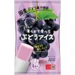 画像2: 凍らせて食べるぶどうアイス (2)