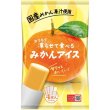 画像2: 凍らせて食べるみかんアイス (2)