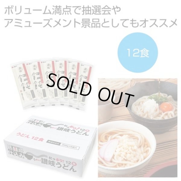たっぷり１２食　熟成仕込み讃岐うどんの写真