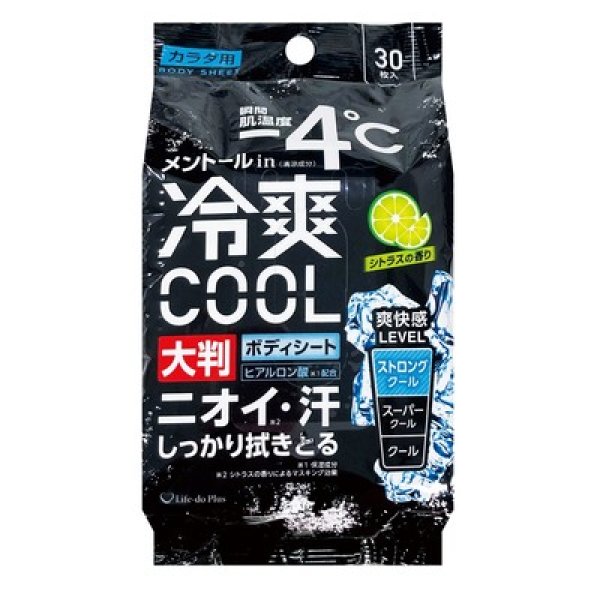 冷爽ＣＯＯＬボディシート大判３０枚の写真