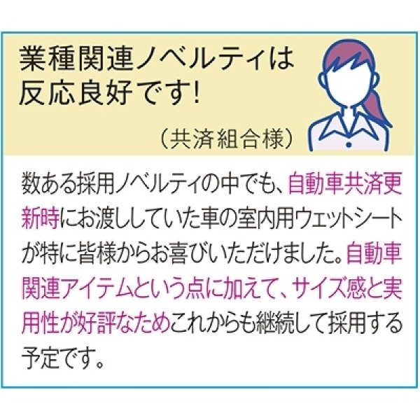 画像3: 車の室内用ウェットシート２０枚入 (3)