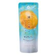 画像2: ホシフルーツ　フルーツパーラーの凍らせて食べるシャーベット　瀬戸内レモン８０ｇ (2)