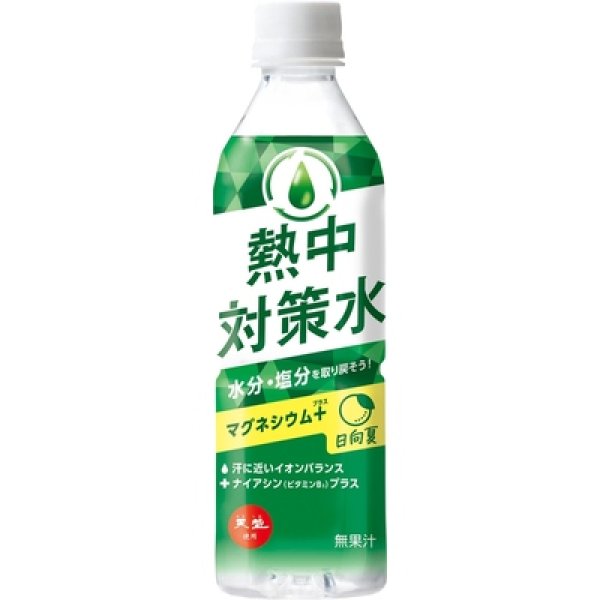 天塩使用　熱中対策水　日向夏５００ｍｌの写真