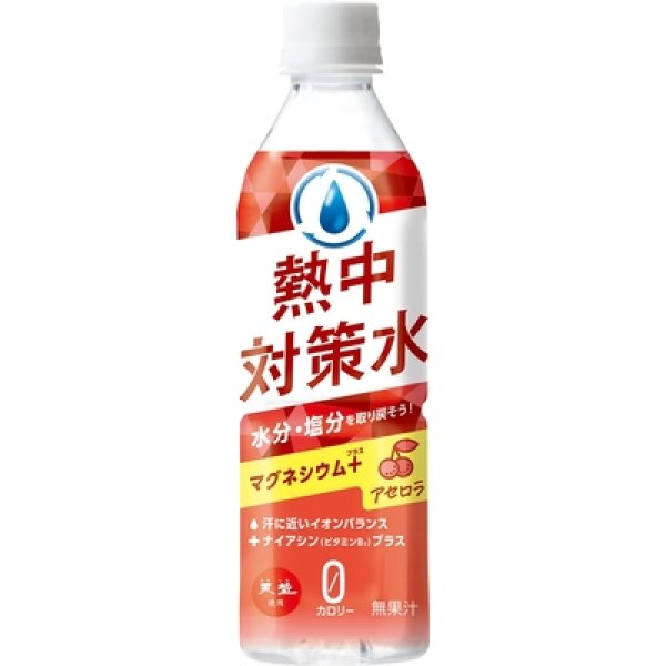 天塩使用　熱中対策水　アセロラ５００ｍｌの写真