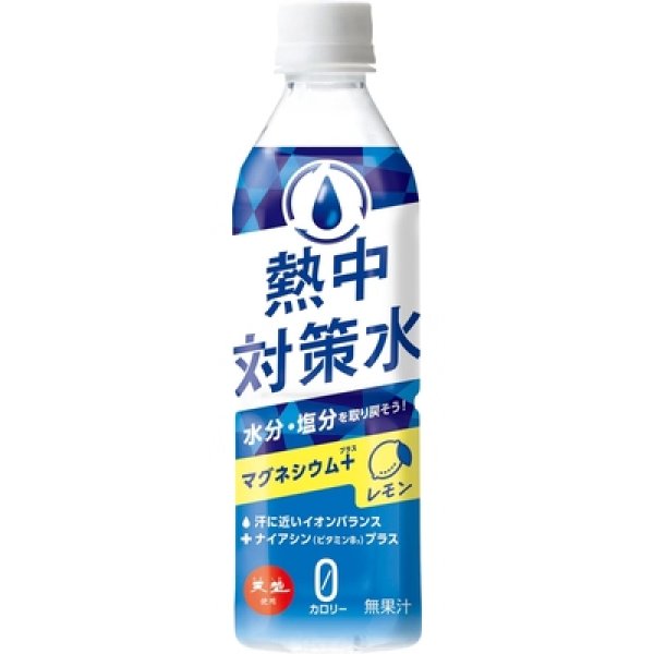 天塩使用　熱中対策水　レモン５００ｍｌの写真