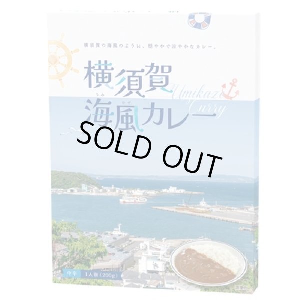 画像2: 横須賀　海風カレー２００ｇ（１食） (2)