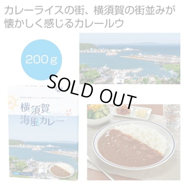 横須賀　海風カレー２００ｇ（１食）の写真