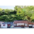 画像4: 千客万来　香川県「鳥越製麺所」監修　讃岐うどん２食組 (4)