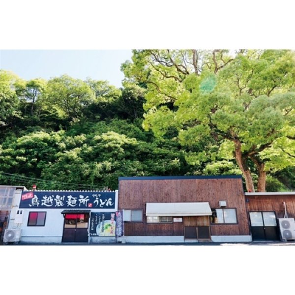 画像4: 千客万来　香川県「鳥越製麺所」監修　讃岐うどん２食組 (4)