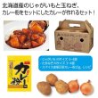 北海道野菜　プレシャスカレーセットの写真