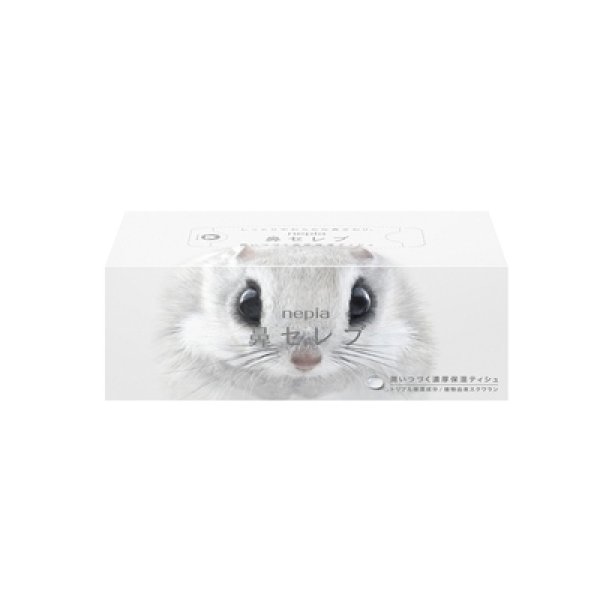 画像2: ネピア鼻セレブティシュ２００Ｗ１個 (2)