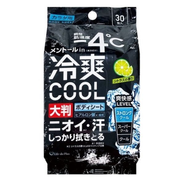 冷爽ＣＯＯＬボディシート大判３０枚の写真