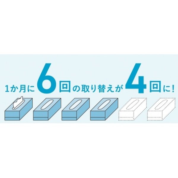 画像4: スコッティティシューフラワー２５０Ｗ３個組 (4)
